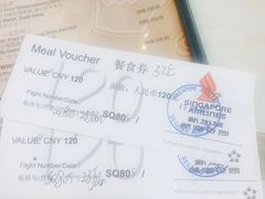 -新加坡航空公司(ION)