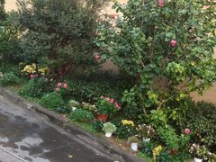 -沙龙酒家