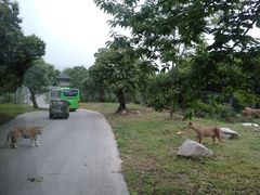 -西安秦岭野生动物园