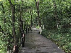 -天目湖山水园
