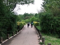 -桤木河湿地公园