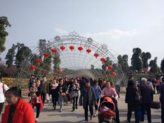 -秀丽东方