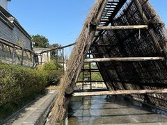 -燊海井