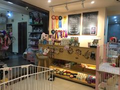 -e嘉宠物店(北大街店)