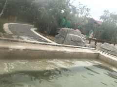 -大连金石滩绿发温泉假日酒店