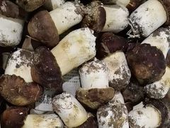 -鲜菌江湖正宗野生菌火锅