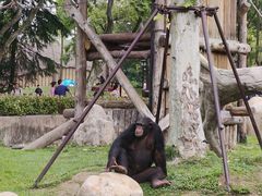 -上海野生动物园