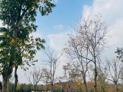 -上海海湾国家森林公园