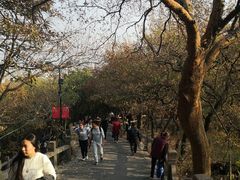 -灵岩山风景区