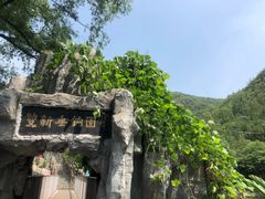 -双新垂钓园