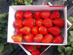 -心乐生活新鲜屋(星海广场店)