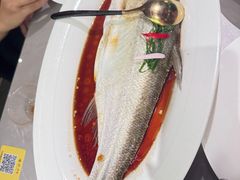 -醉庐·新上海菜(南京西路店)