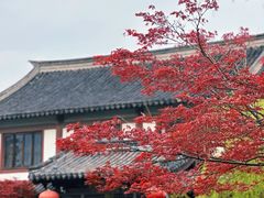 -常熟方塔园