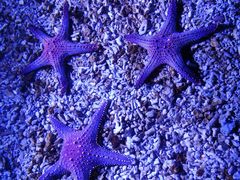 -波塞冬旅游度假区