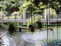 -九龙公园