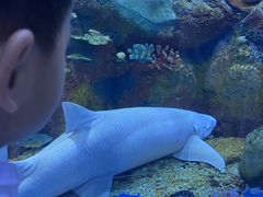 -顺德南宏海立方海洋公园