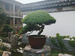 -水绘园