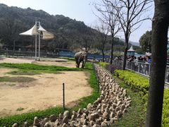 -无锡动物园·太湖欢乐园