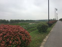 点击看大图 -水八仙生态园