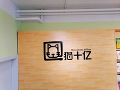 -猫十亿·布偶金渐层·曼基康矮脚猫舍(青年路店)