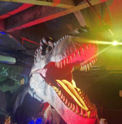 -恐龙探索乐园(磁器口店)