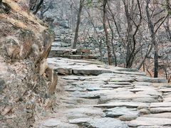 -北京鹫峰国家森林公园