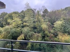-天目湖涵田度假村