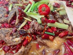 -老板恋上鱼(恒隆广场店)