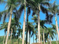 -沙河粉村·国家非遗传承(云台店)