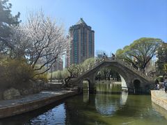 -团结湖公园