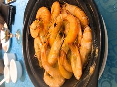 -御唐府海珊瑚主题餐厅