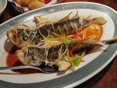 -前海沿·青岛菜(五四广场永旺店)