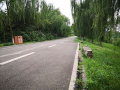 -白鹭湾湿地公园