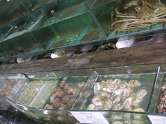 水产区-海岛渔村大酒店(云霄路店)