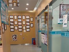 -小伙伴宠物医院•急重症转诊中心·老年专科·犬猫全科(北大街总院)