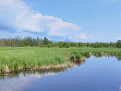 -野鸭湖国家湿地公园