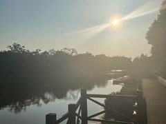 -上海海湾国家森林公园