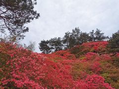 -木兰云雾山