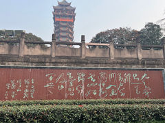 -塔子山公园