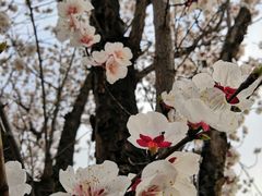 -南京市无想山景区