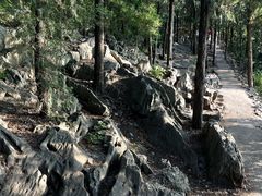 -云龙山