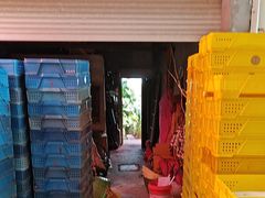 -老袁家蜜桃农场·阳山水蜜桃