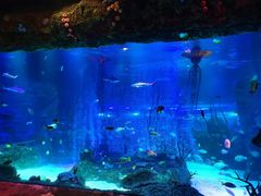 -沈阳海洋探索中心