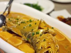 -翠府(翠湖北路店)