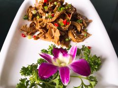 -云里小坐·小院里·团建·宴请·下午茶(三圣乡店)