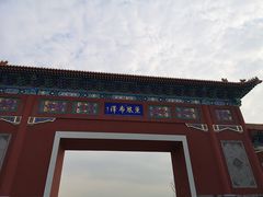 -北京麋鹿生态实验中心