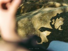 -火炉山森林公园