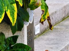 -东海半边山旅游度假区