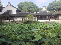 -上海醉白池公园
