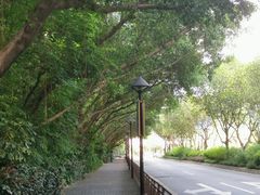 -广州长隆国际大马戏